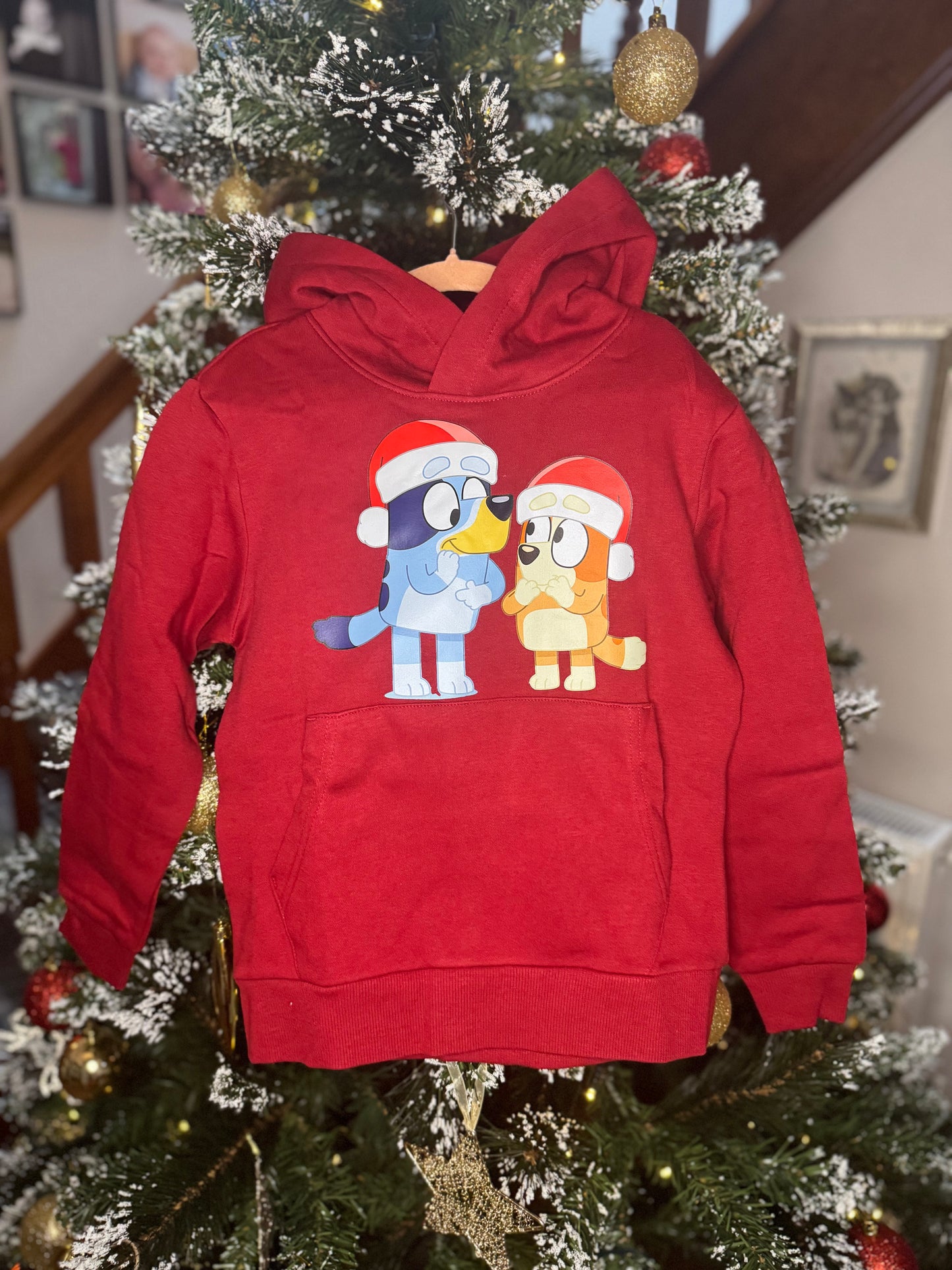 Festive Christmas Hoodies