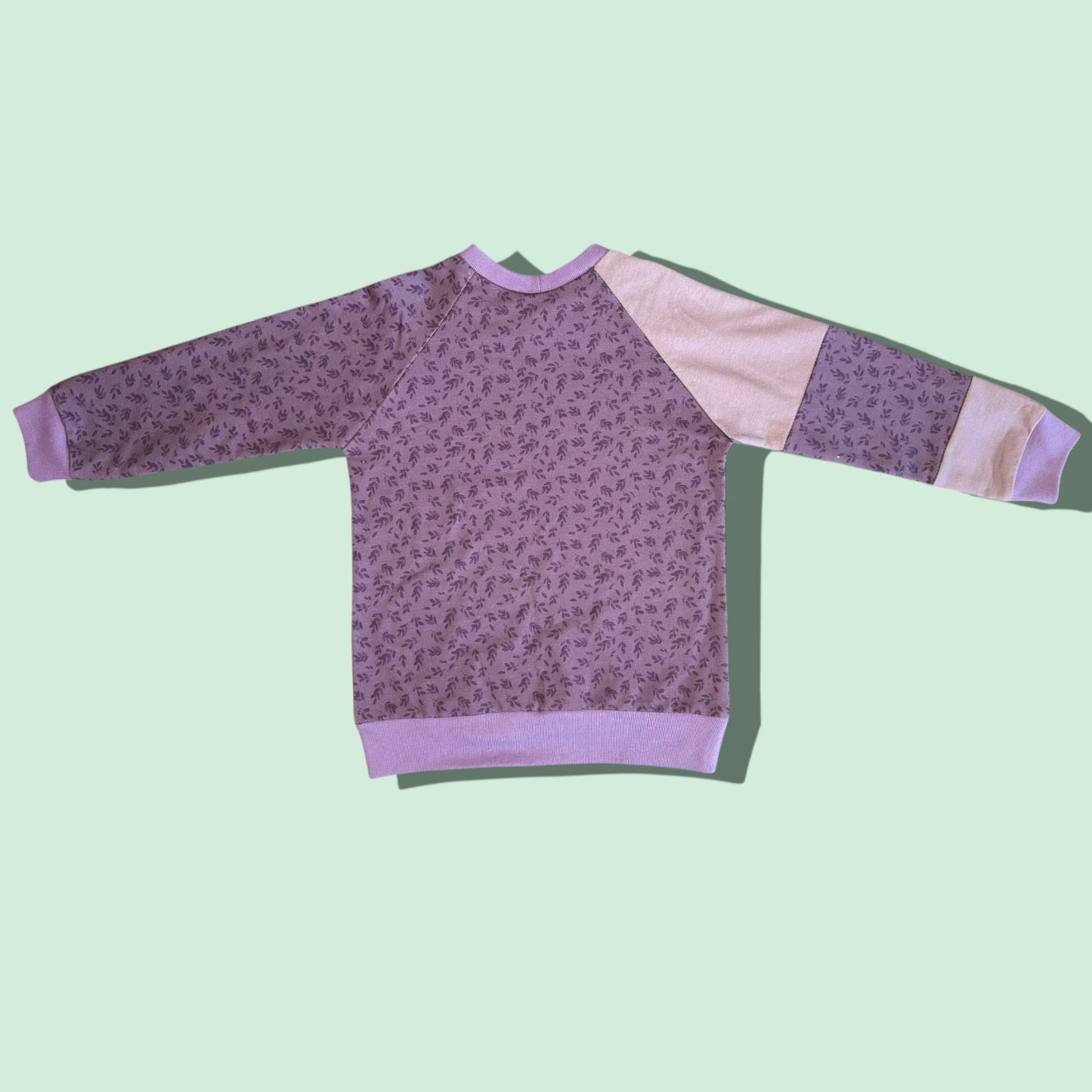 Monster Jumper - 4-5 years